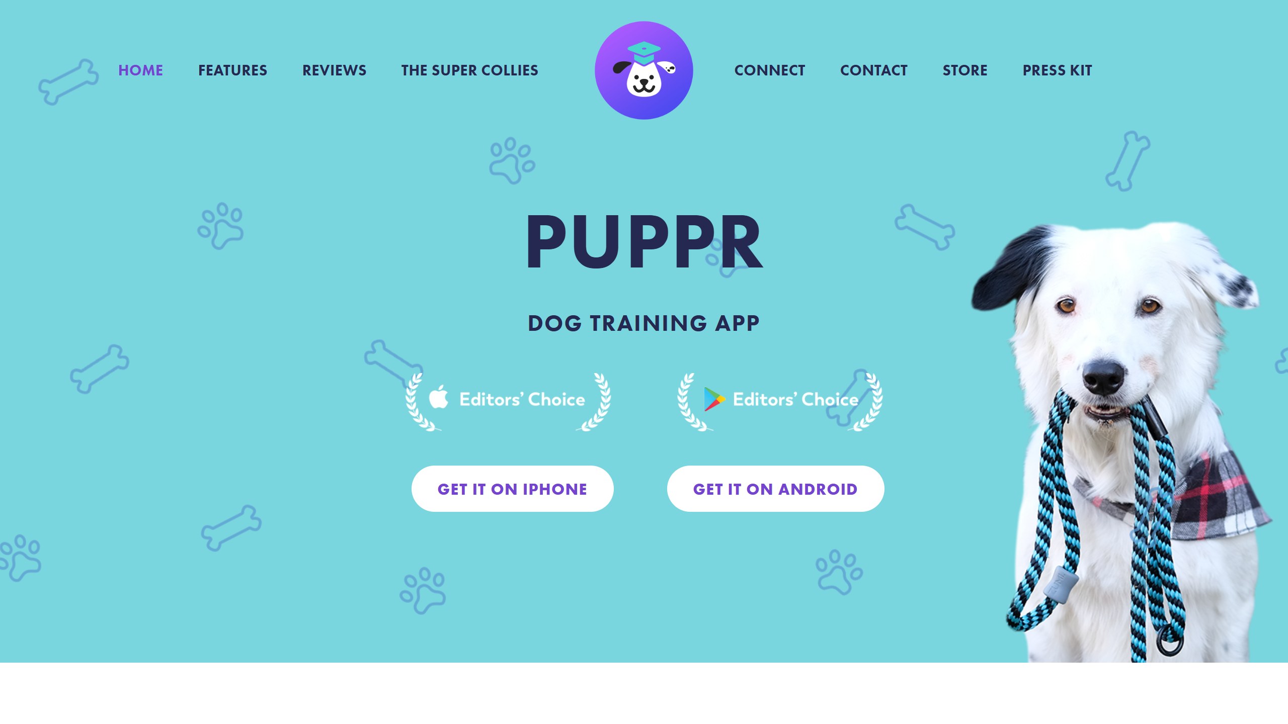 Puppr homepage, Dog Training App, with Apple and Google Play Editors Choice badges, Get it on iPhone and Get it on Android buttons and a dog holding a lead