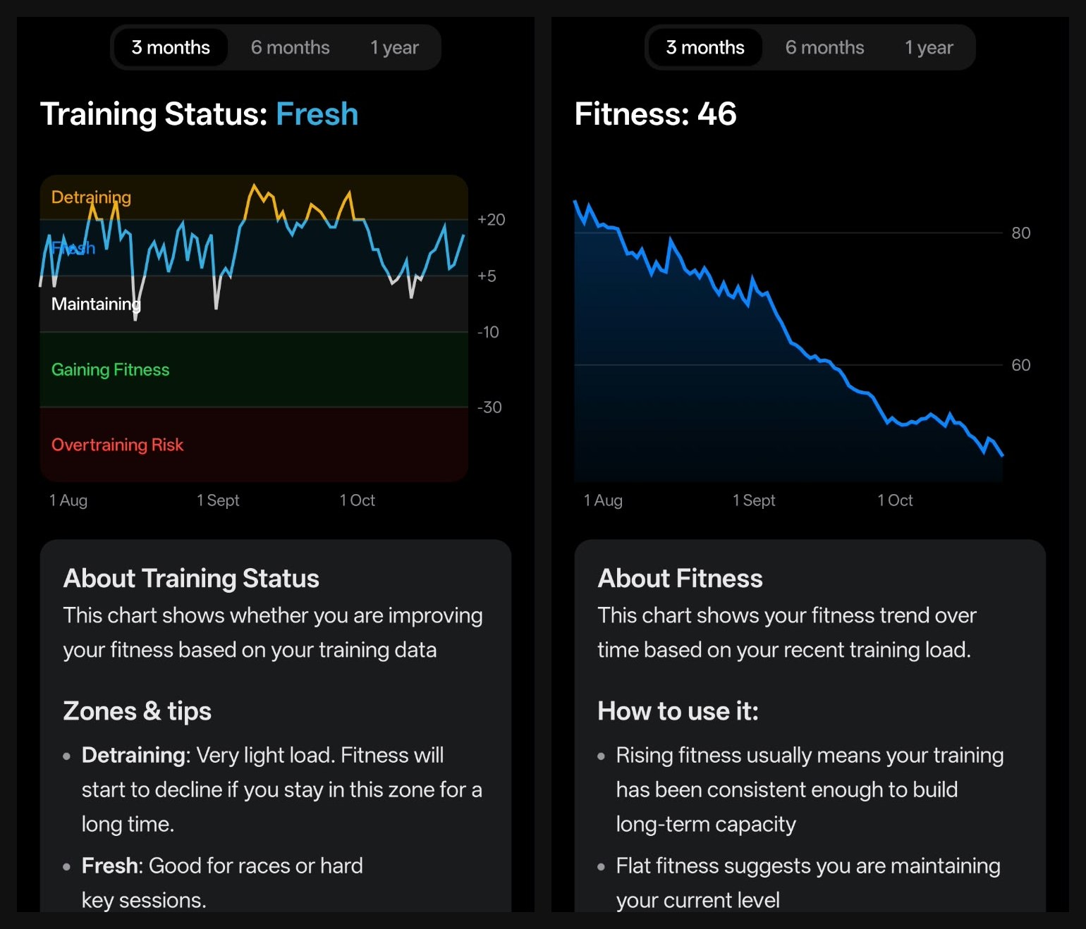 RestOrTrain Training Status chart showing the Fresh, Maintaining, Gaining Fitness and Overtraining Risk bands, next to the Fitness trend chart with tips on reading it